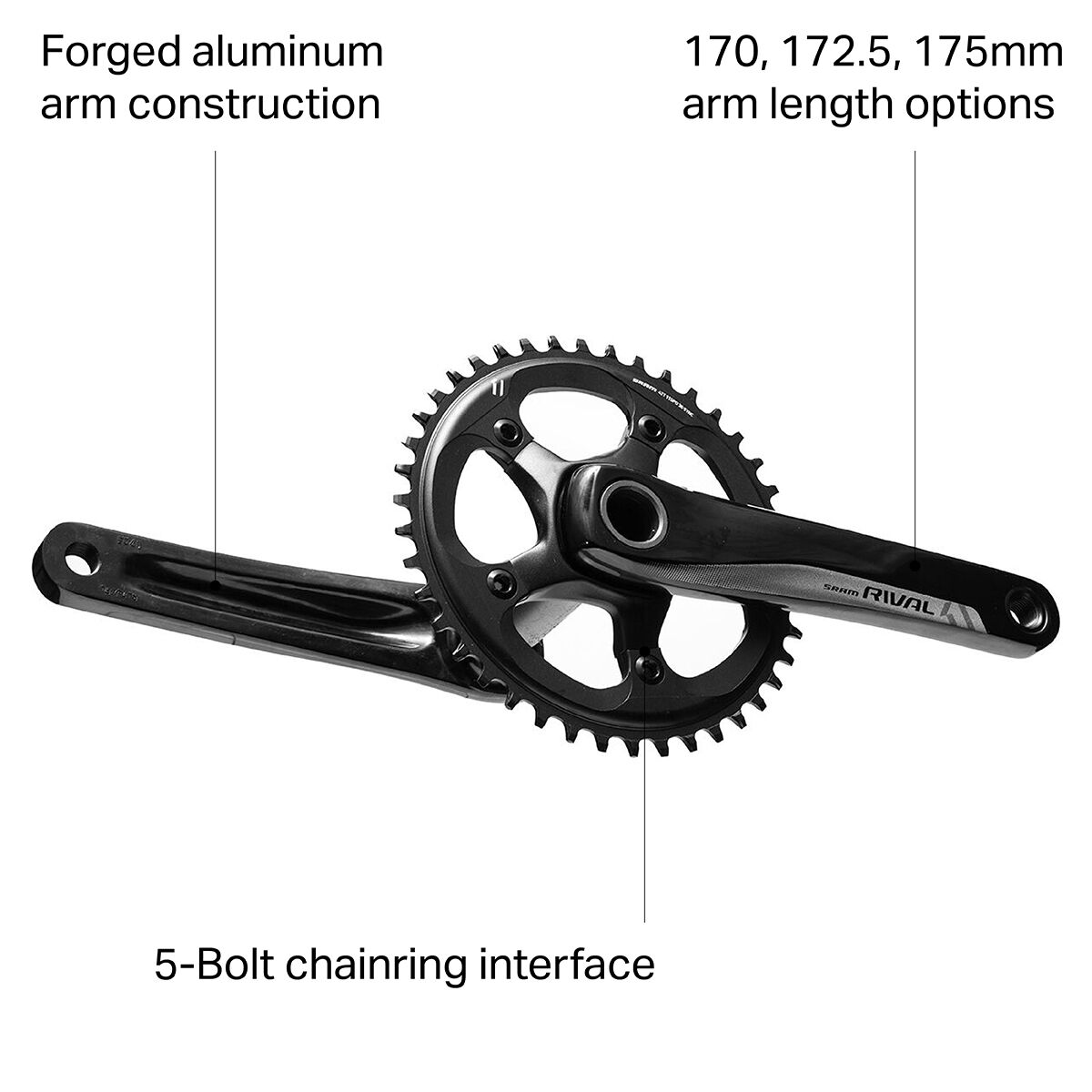 SRAM Rival 1 GXP Crankset - Bike