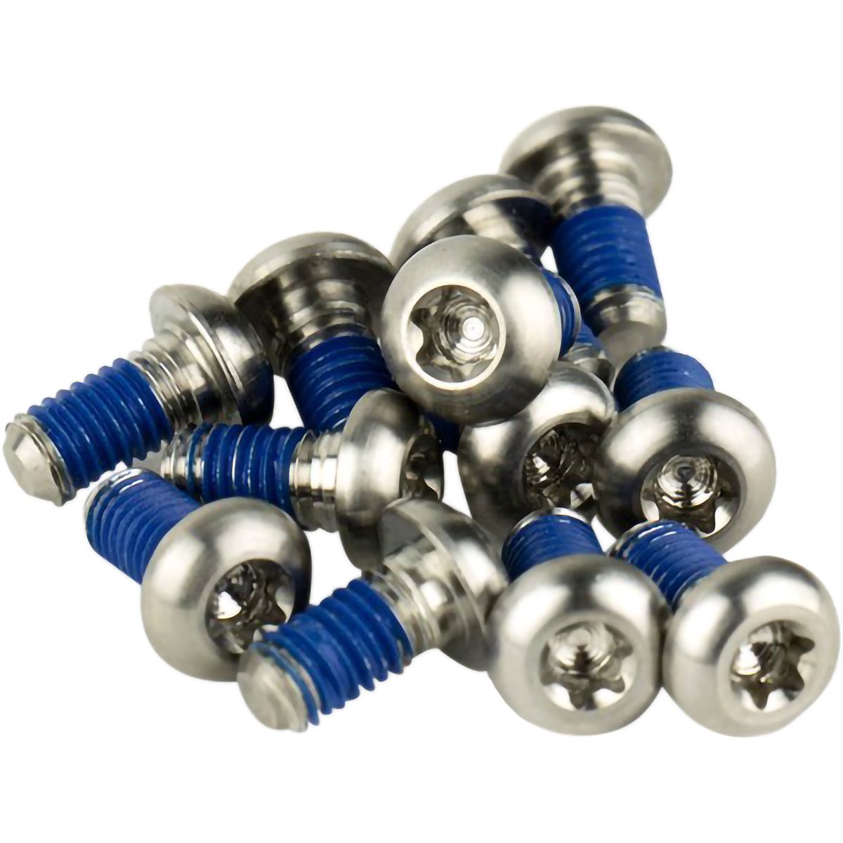 Image of SRAM Rotor Bolt Kit - Titanium Silver, T25