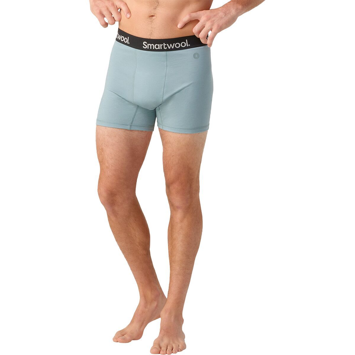 Smartwool Boxer Brief - Men's Lead, S