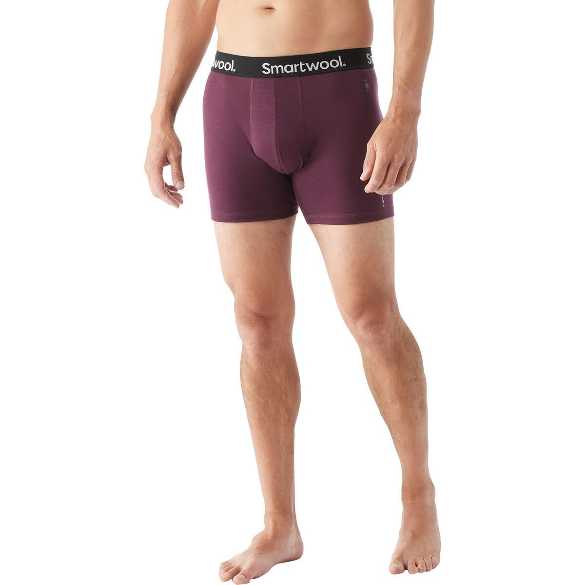 Smartwool Everyday Merino Boxer Brief - Men's Eggplant, XL
