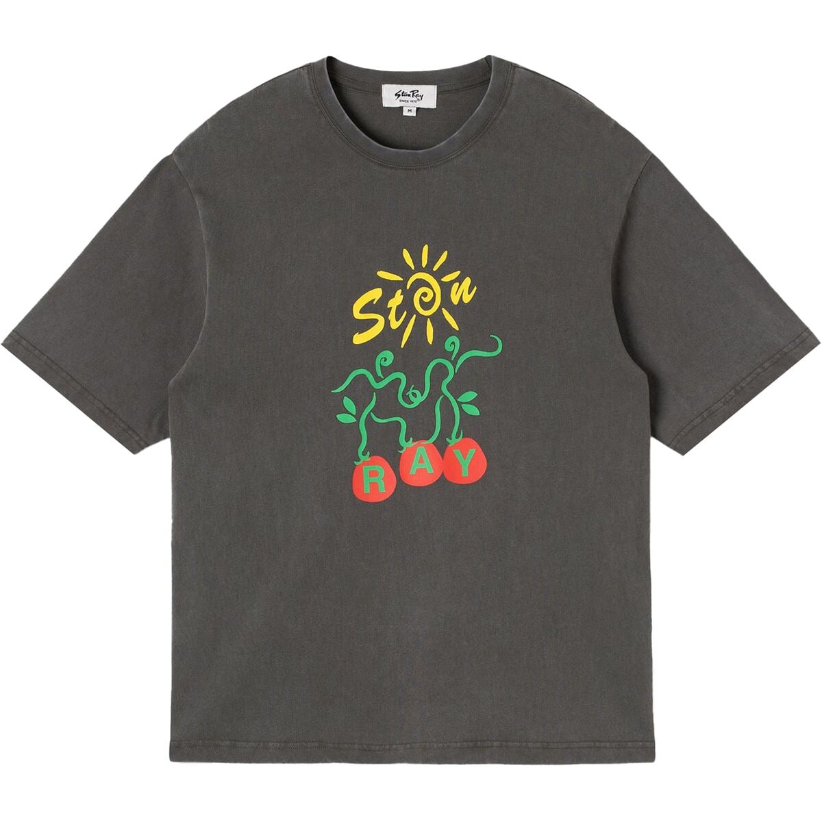 Image of Stan Ray Ray Vine T-Shirt - Men's Washed Black, XL