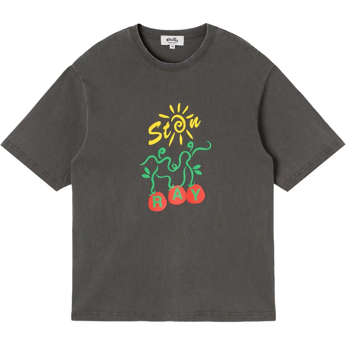 Image of Stan Ray Ray Vine T-Shirt - Men's Washed Black, XXL