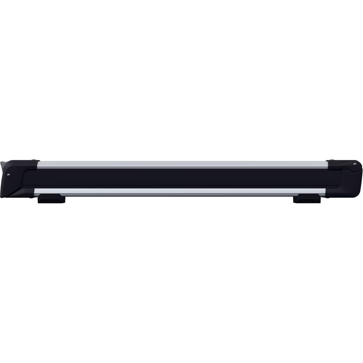 Thule Thule SnowPack L Roof Mount Silver, One Size