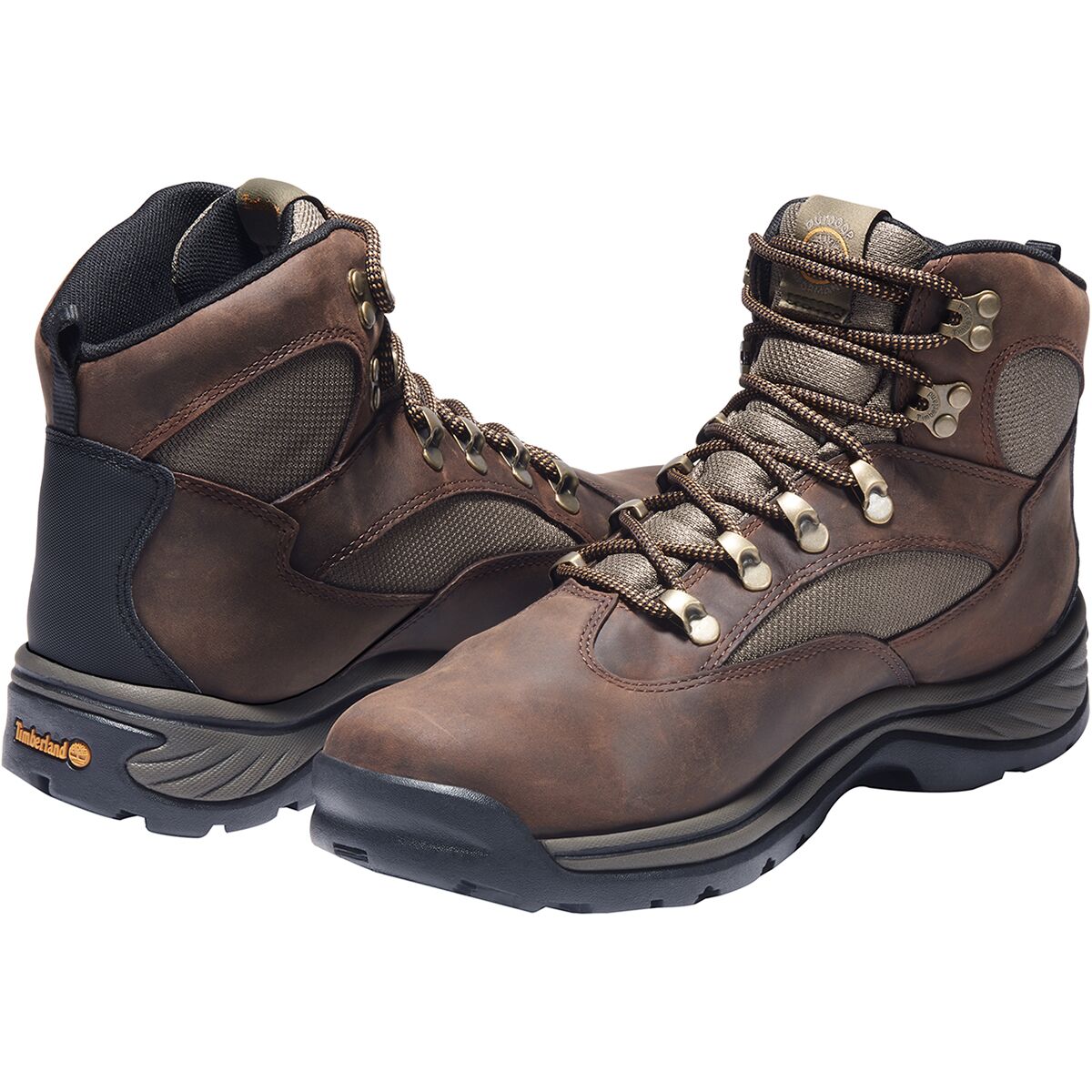 Chocorua Trail WP Boot - Men's Footwear