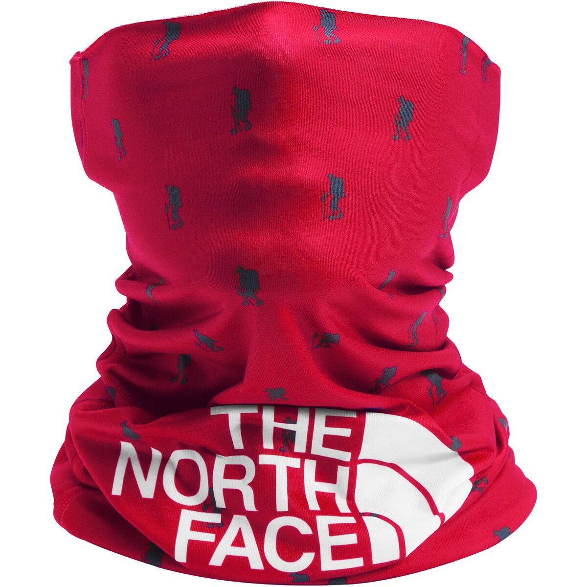 The North Face Dipsea Cover It Neck Gaiter