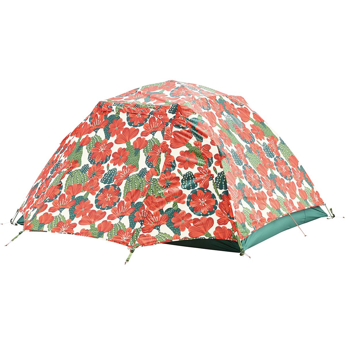 The North Face Homestead Roomy 2 Tent: 2-Person 3-Season - Hike & Camp