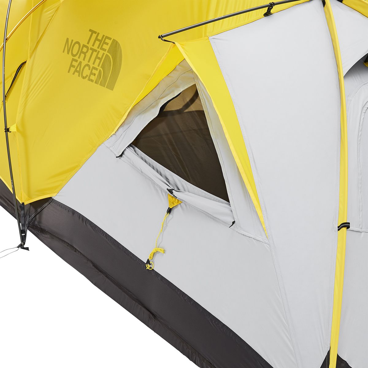 The North Face Alpine Guide 3 Tent: 3 