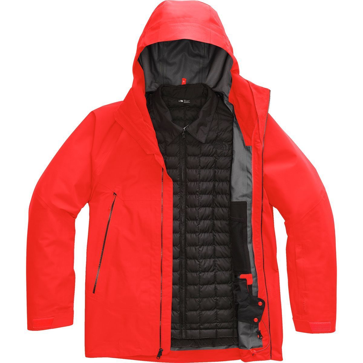 north face alligare