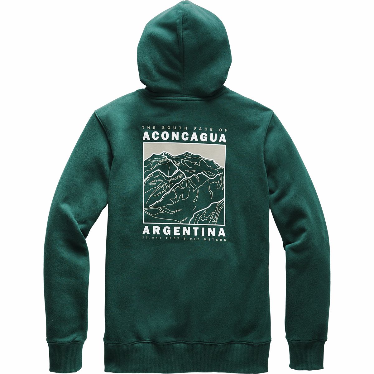 The north face top highest peaks hoodie