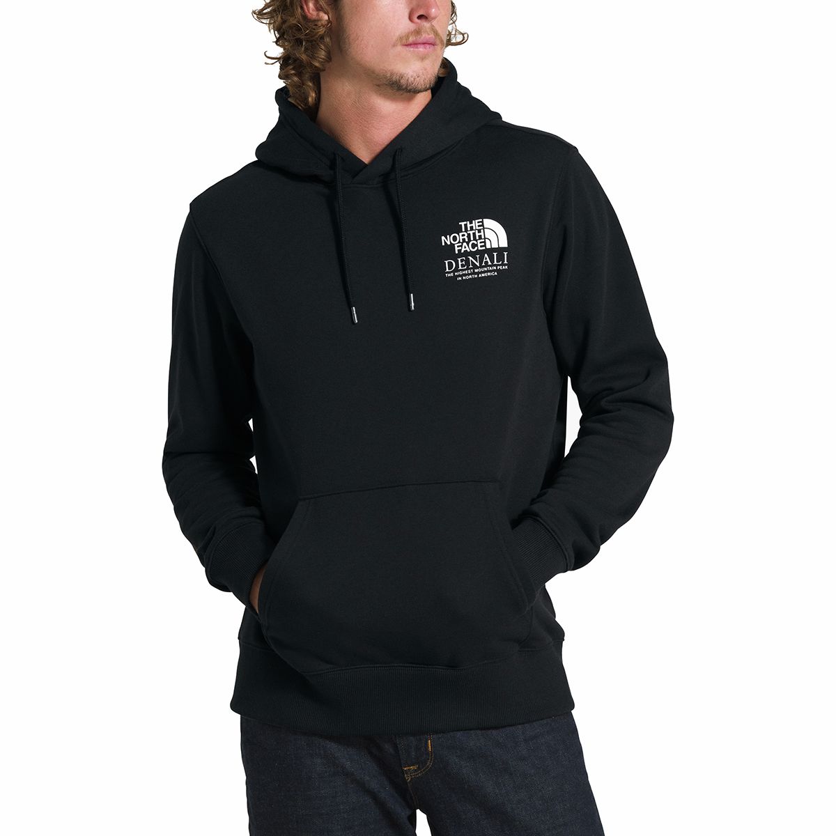 The north face highest peaks hoodie 2025