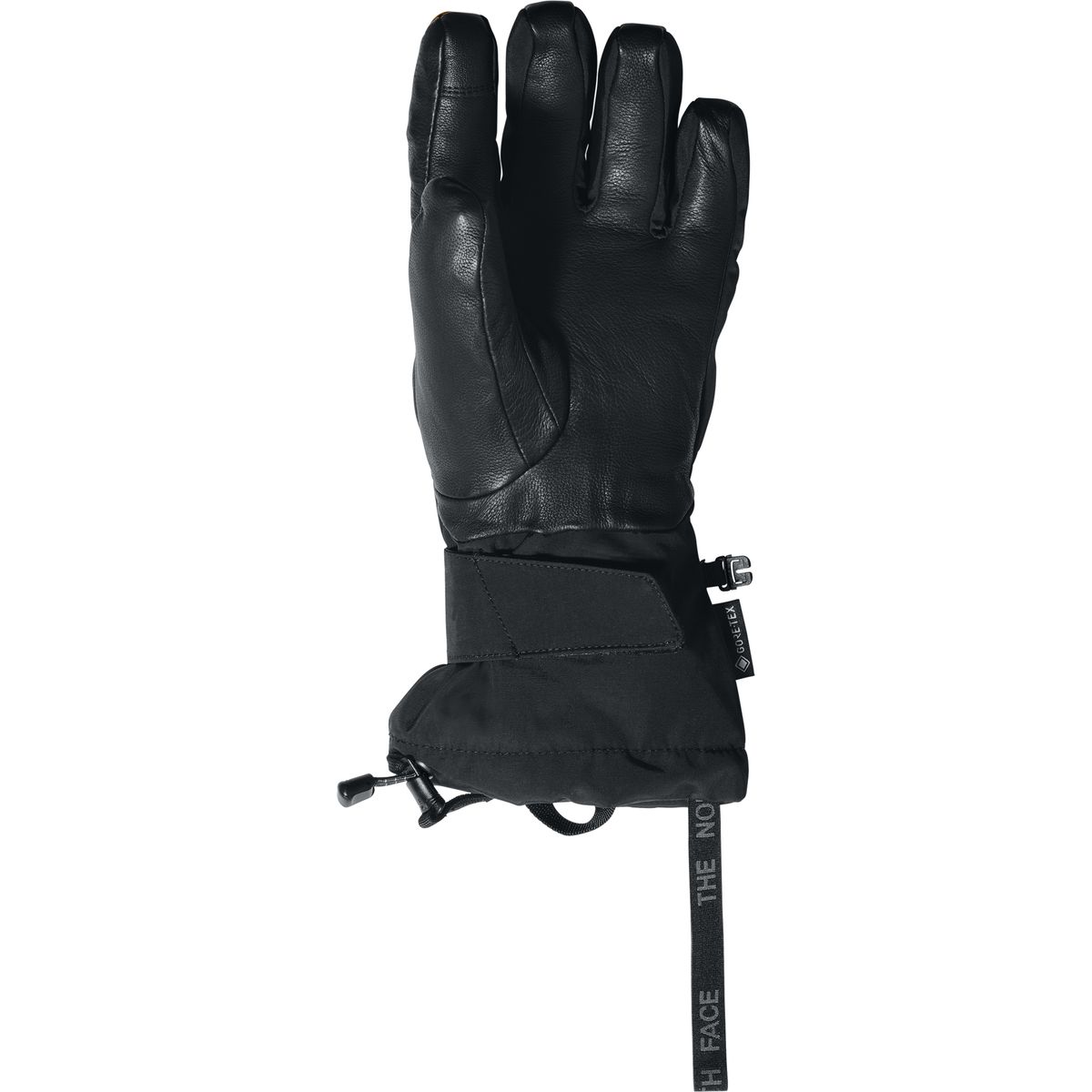 The North Face Powdercloud Gore Tex Etip Glove Men s Accessories