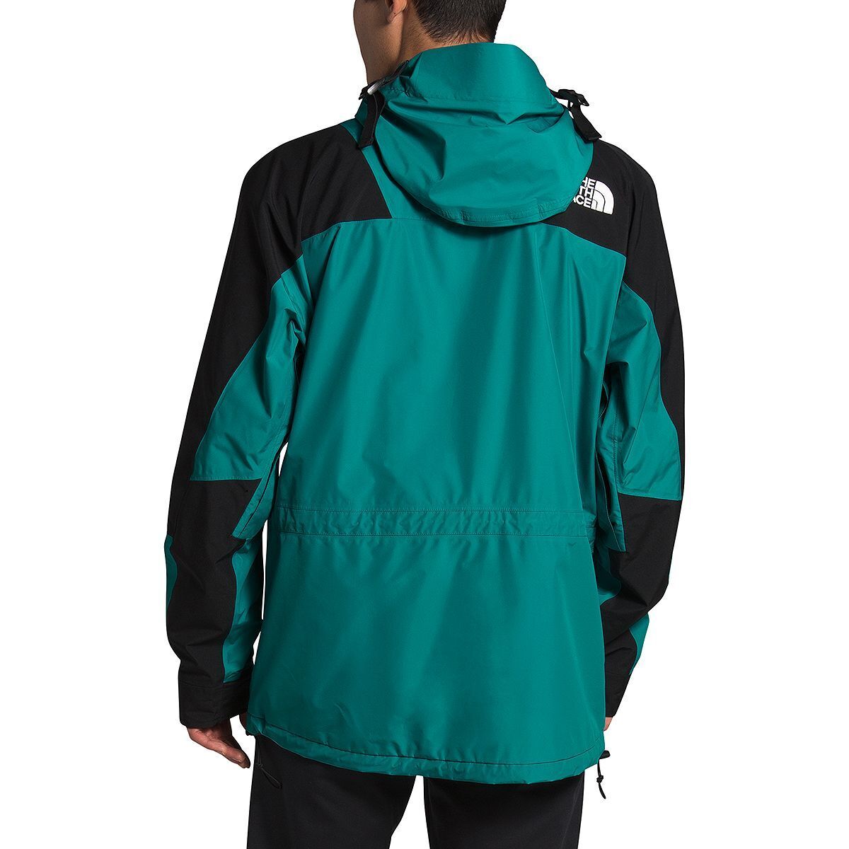 The North Face 1994 Retro Mountain Light FUTURELIGHT Jacket