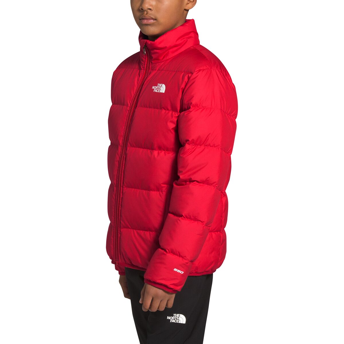 b andes jacket north face
