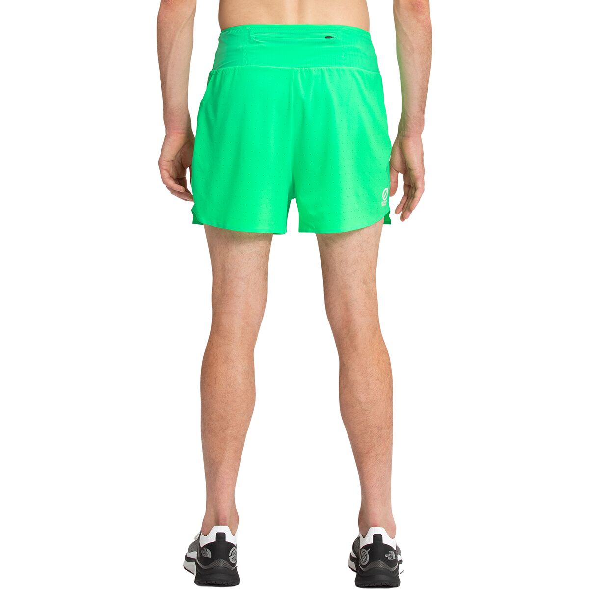 The north sales face flight shorts