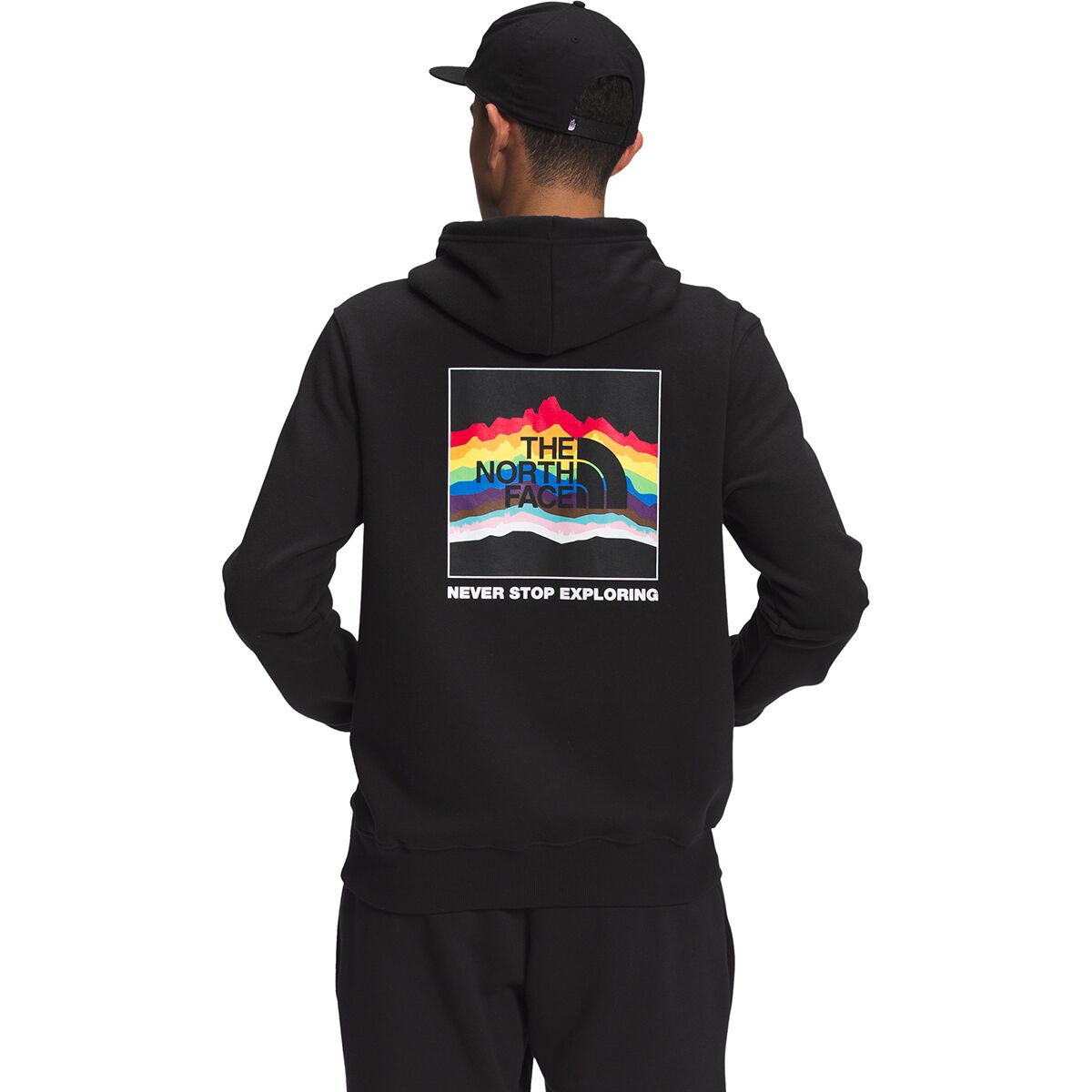 the north face pride pullover hoodie