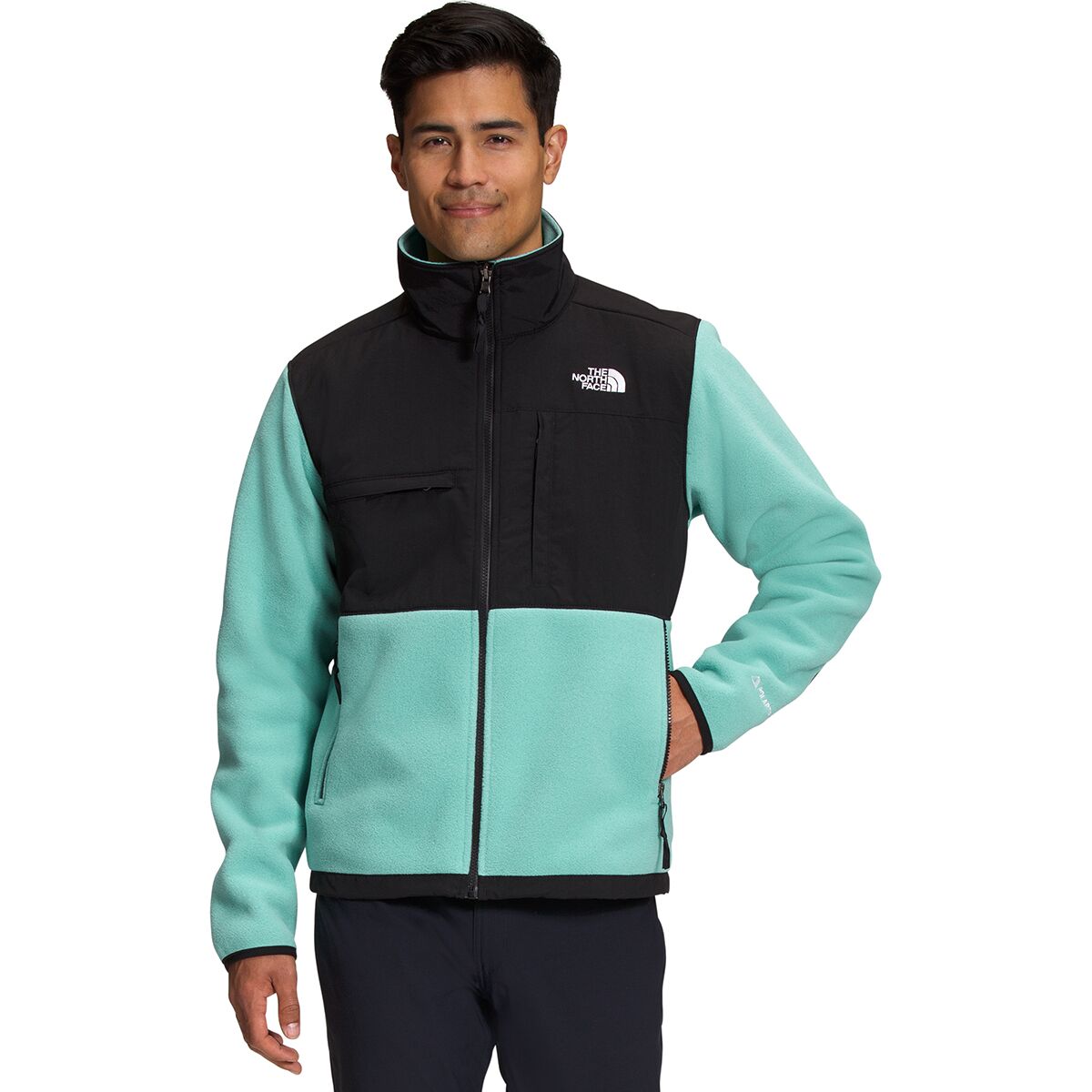 Denali 2 Fleece Jacket - Men