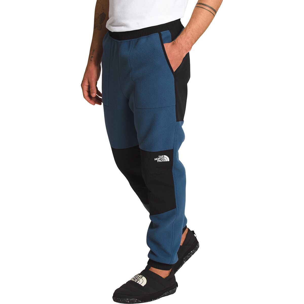 Tnf cheap denali pants