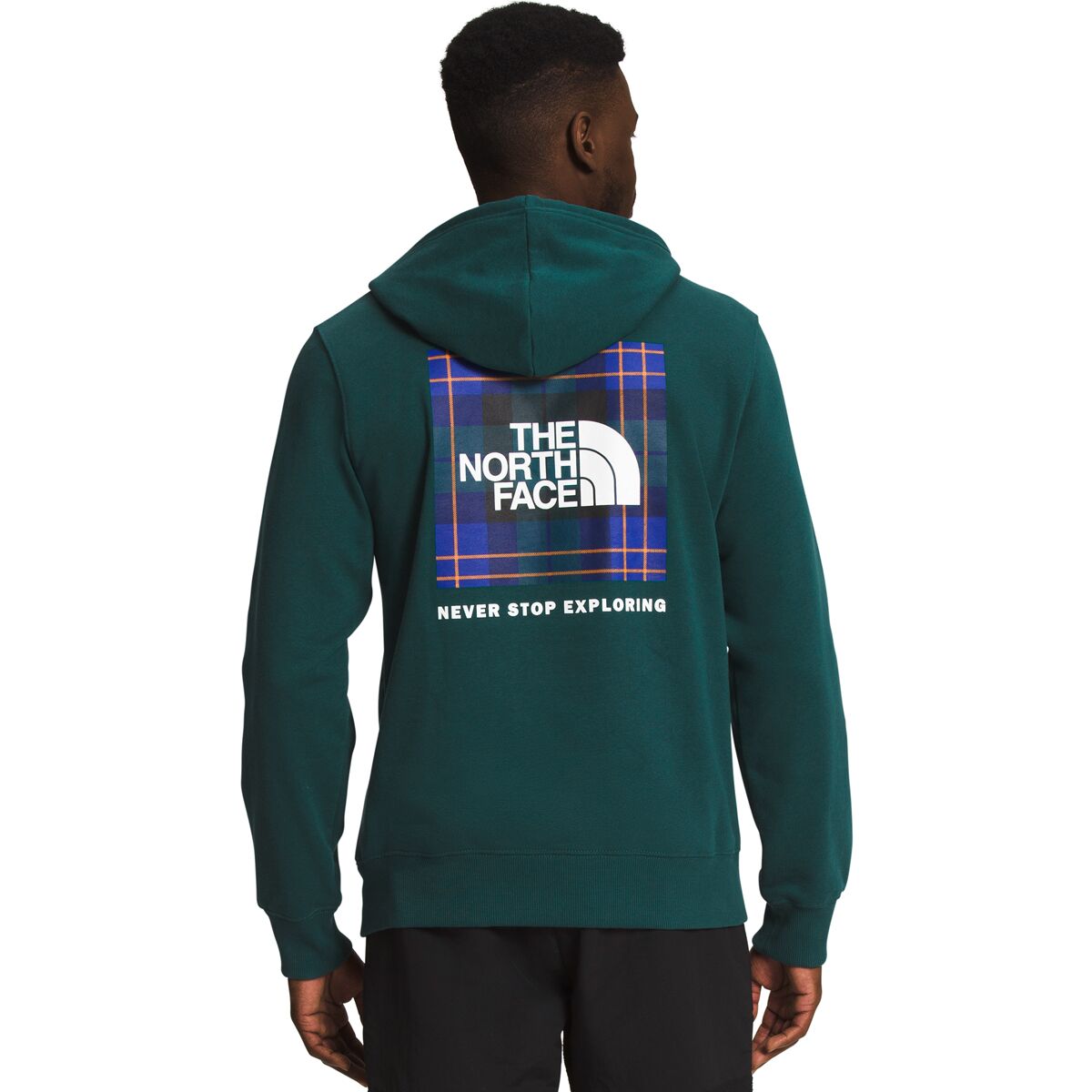 North face sale iridescent hoodie