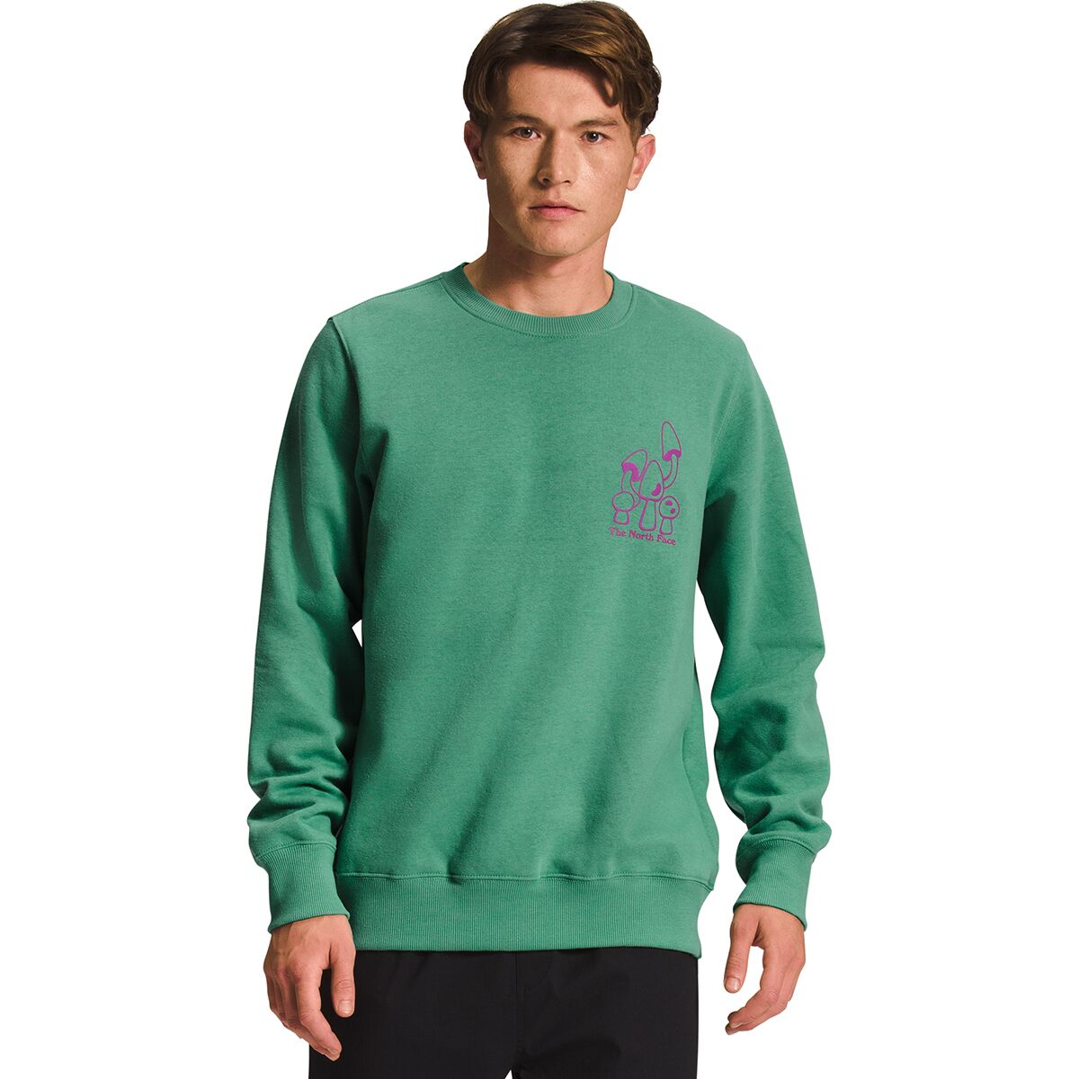 The North Face We Love Crew Sweatshirt - Men's - Clothing