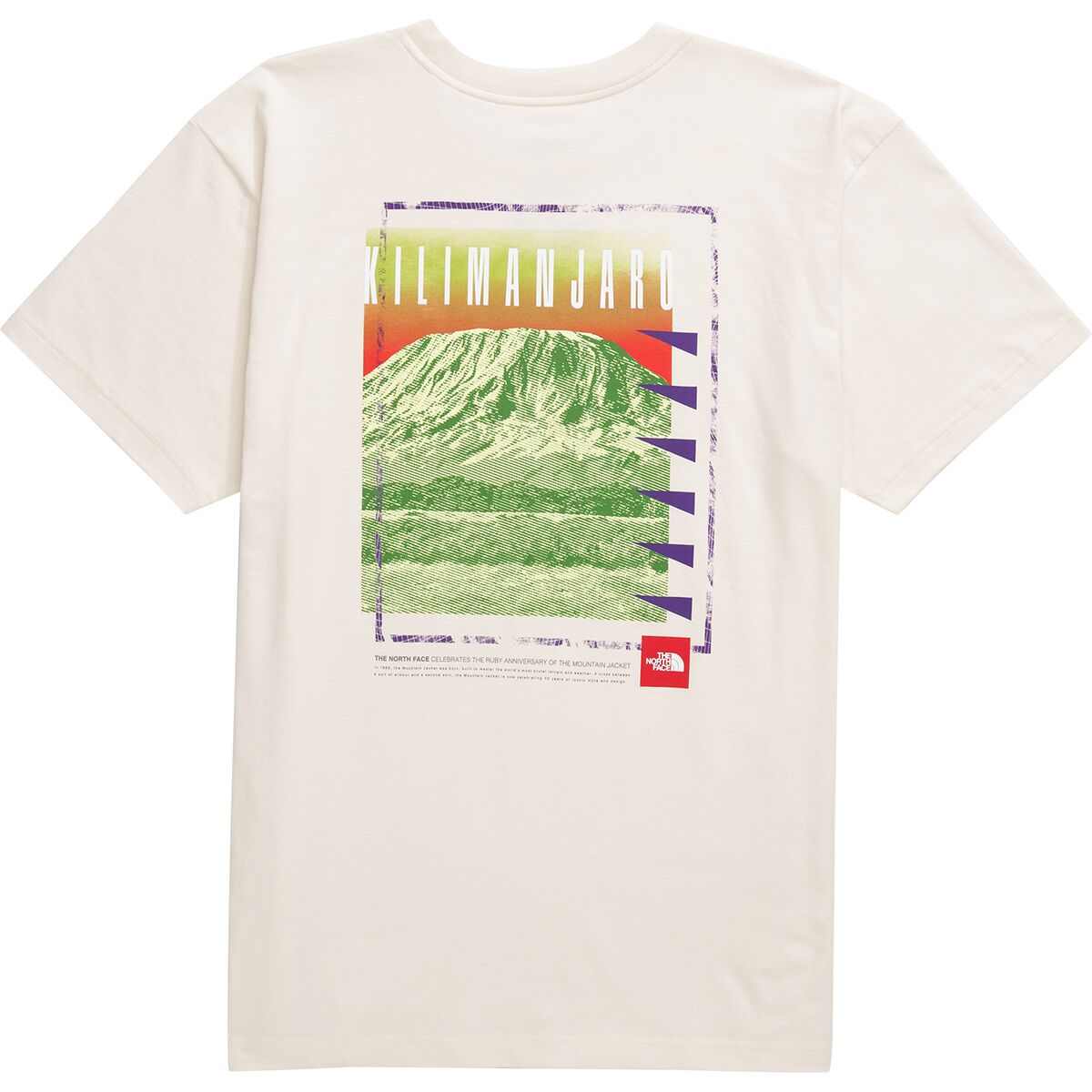 The North Face Red Box Kilimanjaro Heavyweight Graphic T-Shirt 