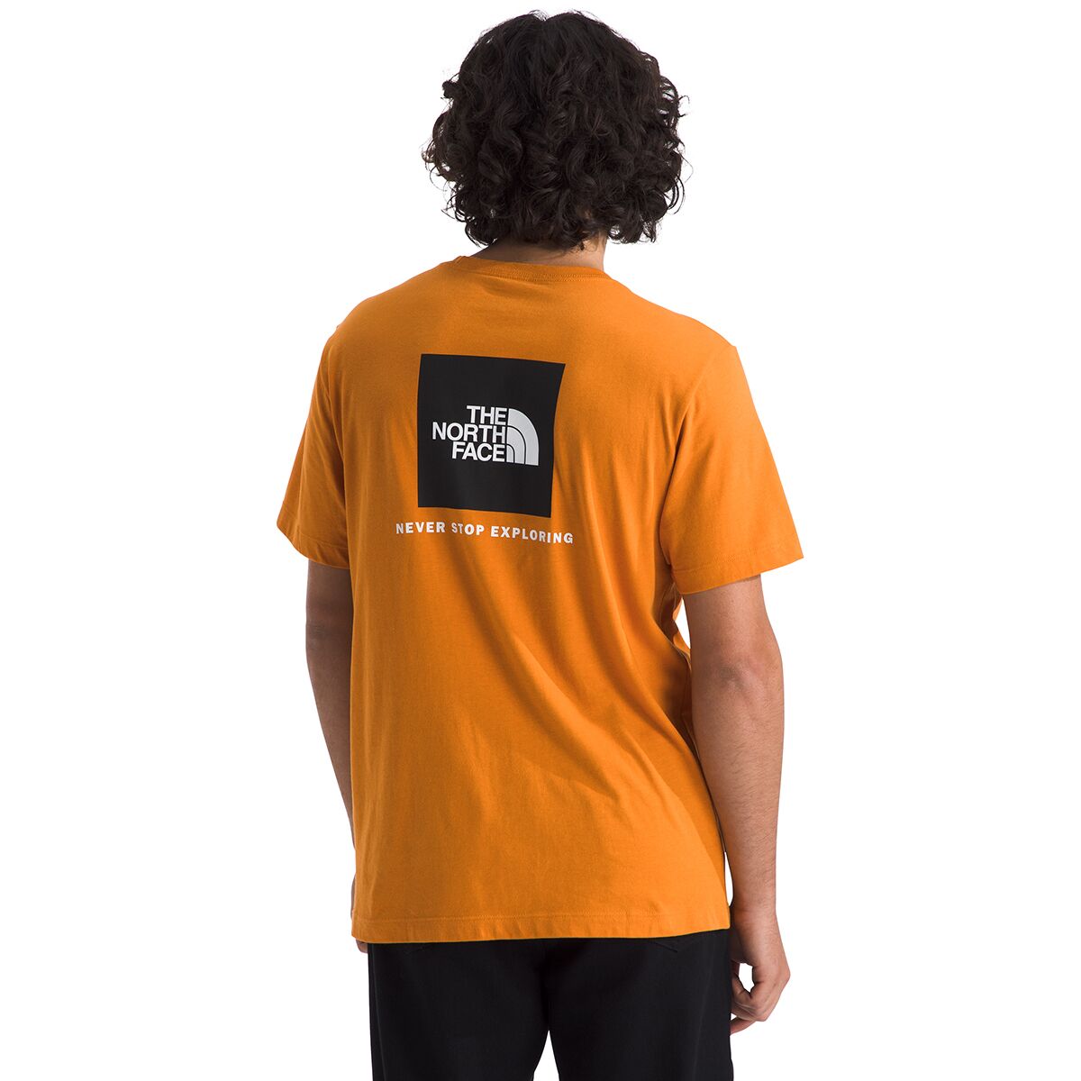 Image of The North Face Evolution Box NSE Short-Sleeve T-Shirt - Men's Dust Orange, M