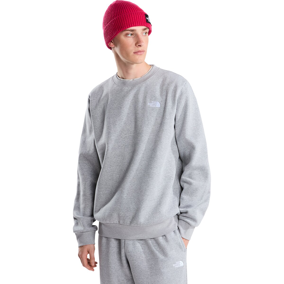 Image of The North Face Evolution Simple Dome Oversized Crew Sweatshirt - Men's TNF Pale Grey Heather, XL
