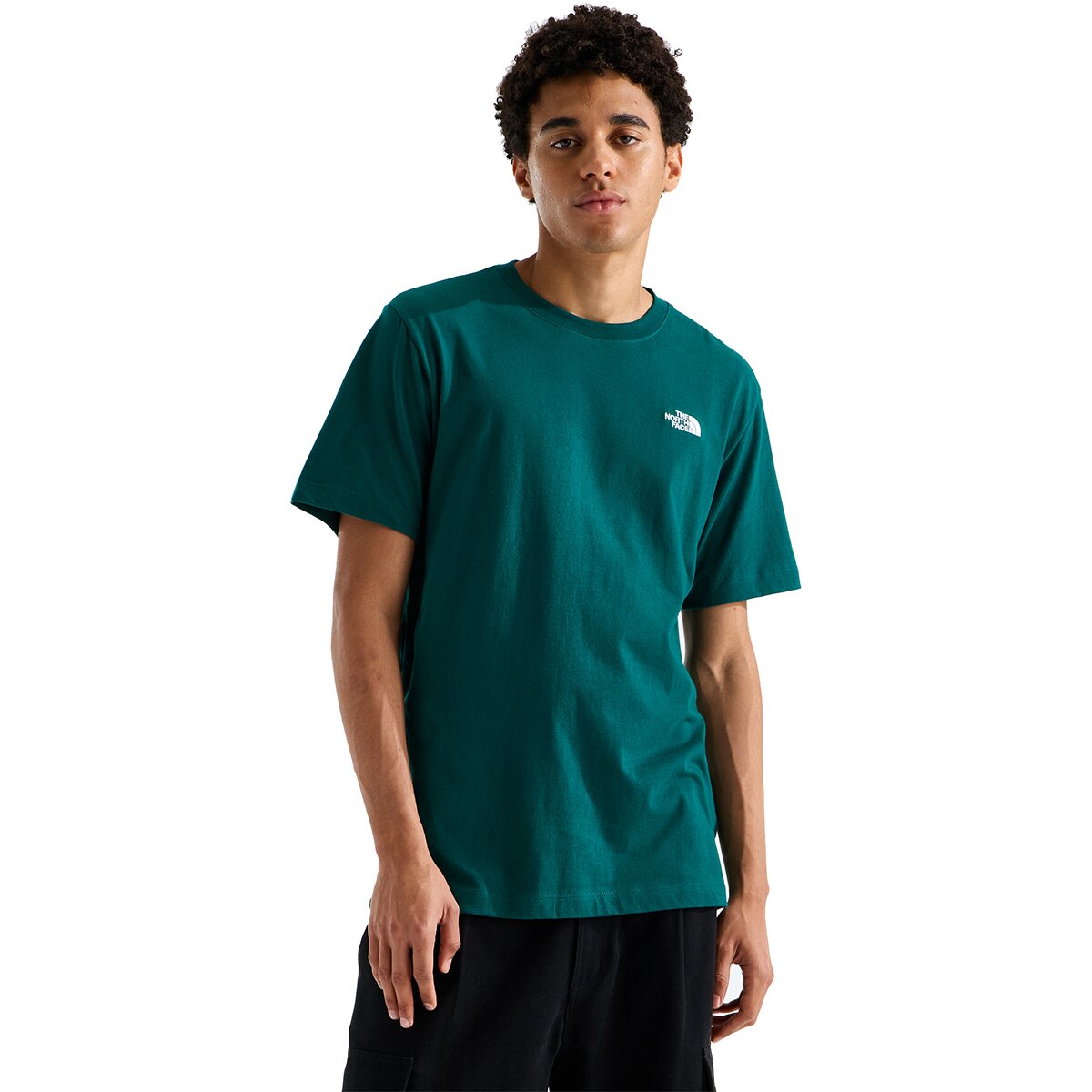 Image of The North Face Evolution Embroidered Short-Sleeve T-Shirt - Men's Pacific Teal, XXL