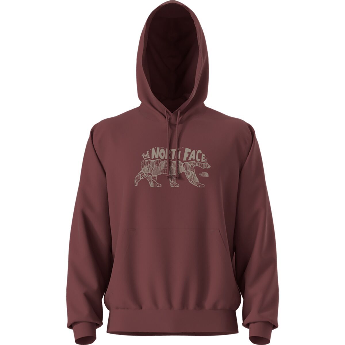 Image of The North Face Evolution TNF Bear Graphic Hoodie - Men's Sumac, M