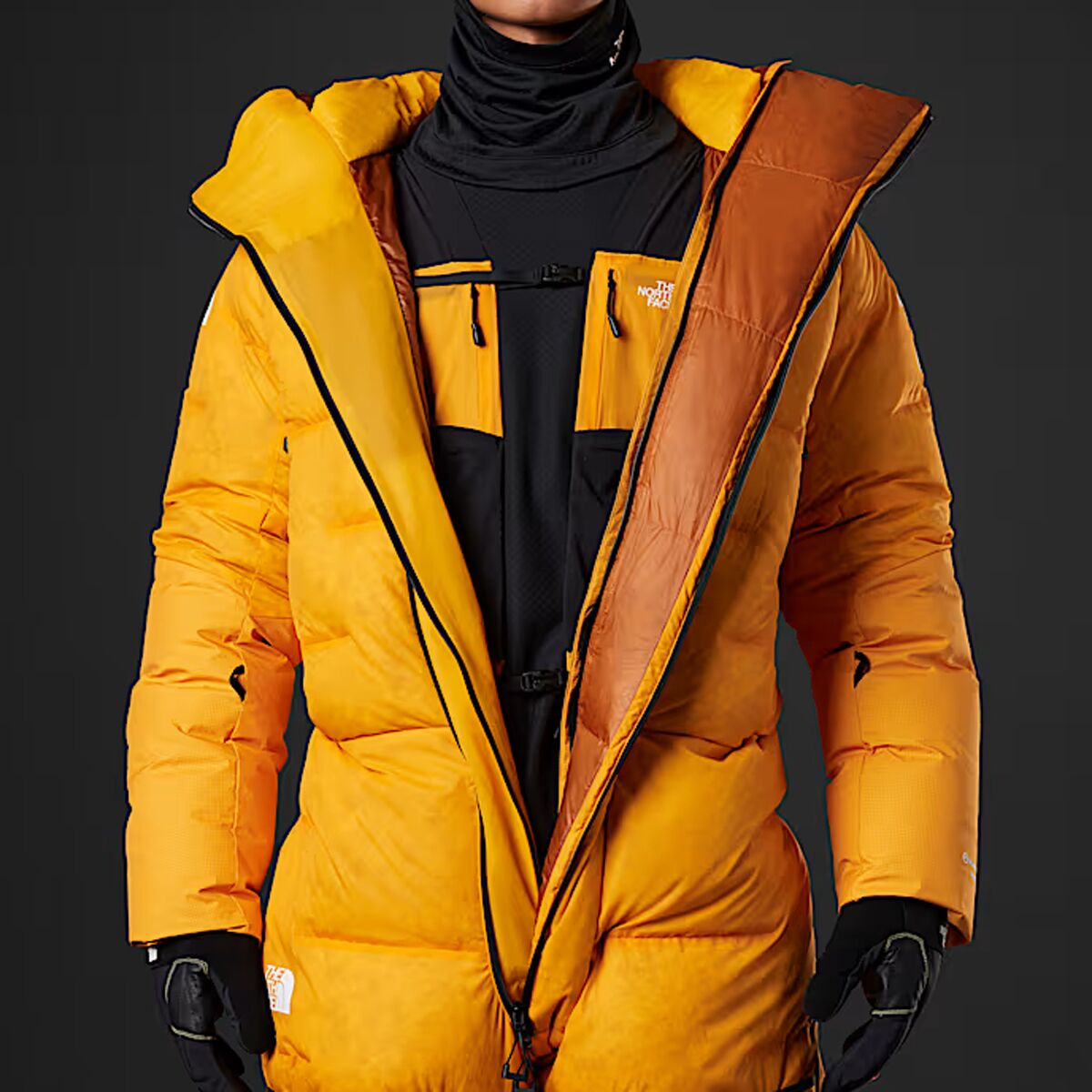 The North Face Himalayan Suit - Men's - Clothing
