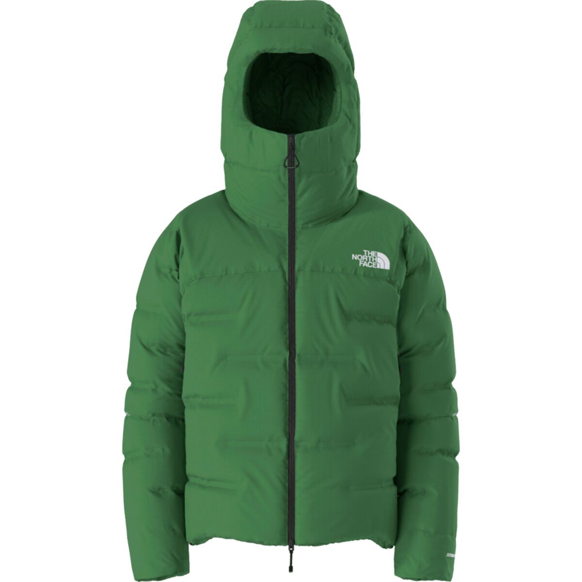 The North Face Summit Cloud Down AMK Parka Men's Clothing