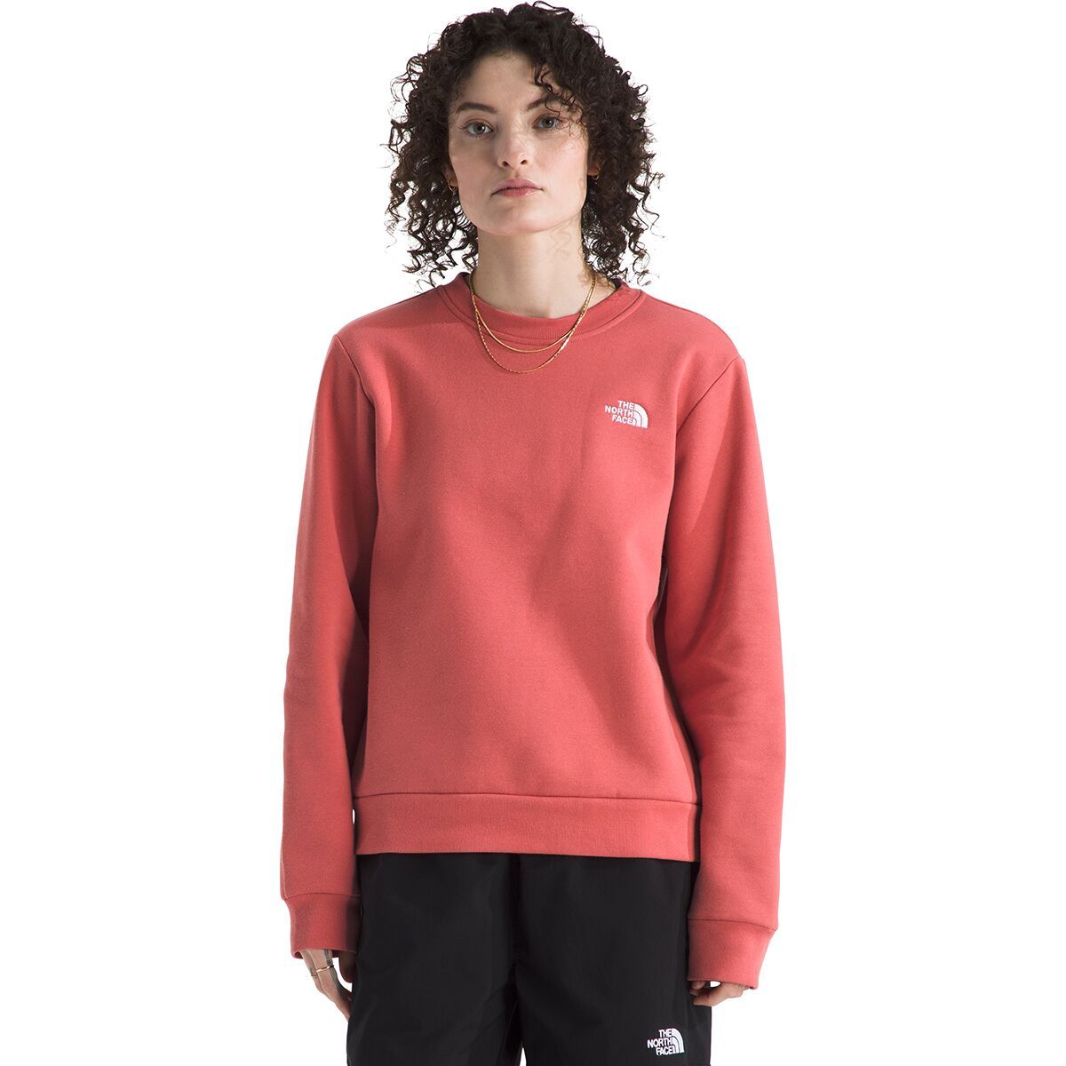 Image of The North Face Evolution Embroidered Crew Sweatshirt - Women's Mars Dust, L