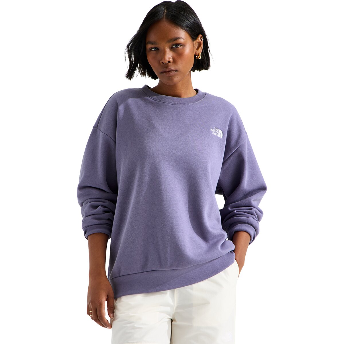 Image of The North Face Evolution Embroidered Oversized Crew Sweatshirt - Women's Grounded Plum, XS