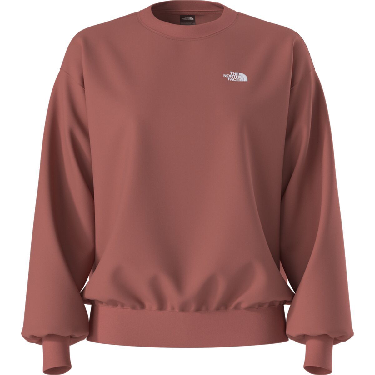 Image of The North Face Evolution Embroidered Oversized Crew Sweatshirt - Women's Mars Dust, XL