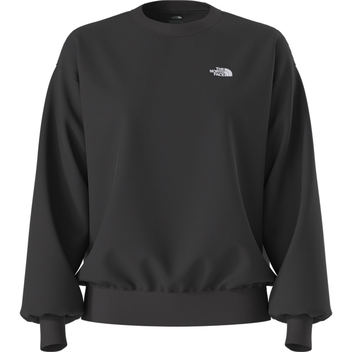Image of The North Face Evolution Embroidered Oversized Crew Sweatshirt - Women's TNF Black, M
