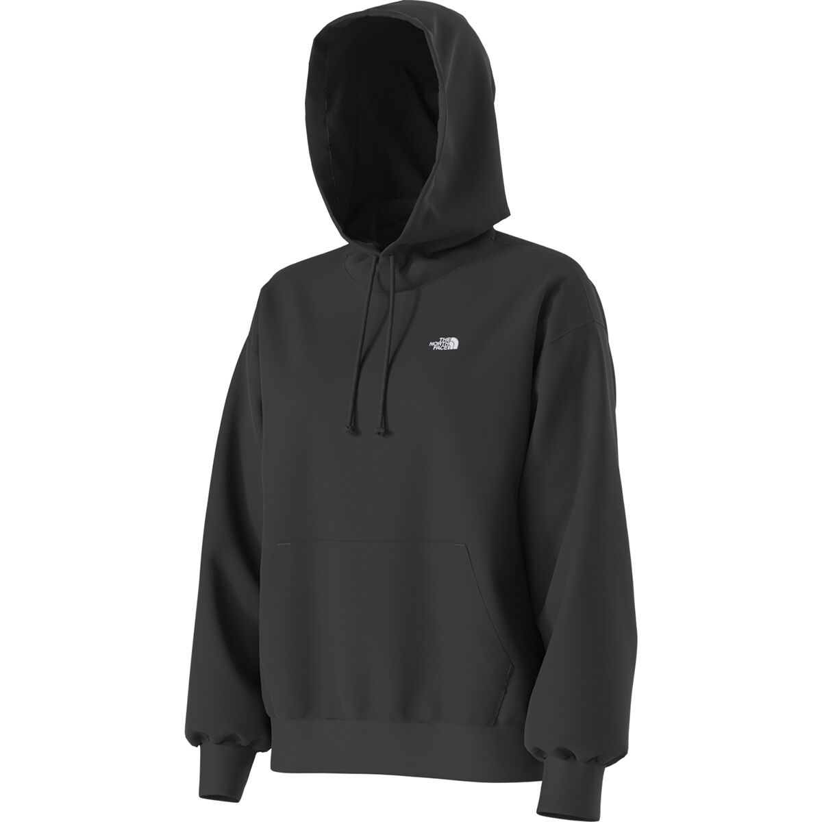The North Face Evolution Embroidered Oversized Hoodie - Women's