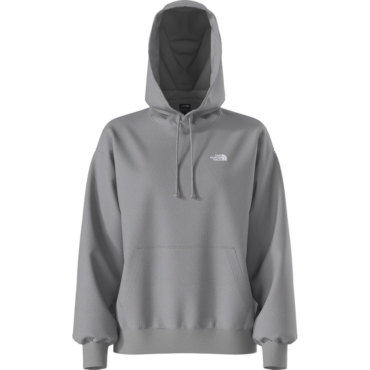Image of The North Face Evolution Embroidered Oversized Hoodie - Women's TNF Pale Grey Heather, S