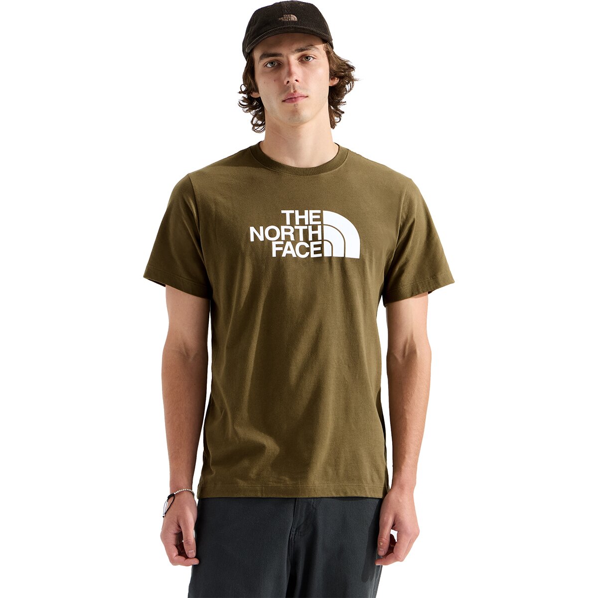 Image of The North Face Evolution Half Dome Regular Short-Sleeve T-Shirt - Men's Caraway Seed, M