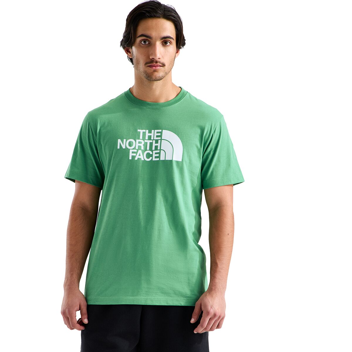 The North Face The North Face Evolution Half Dome Regular Short-Sleeve T-Shirt - Men's Dimmed Algae, L