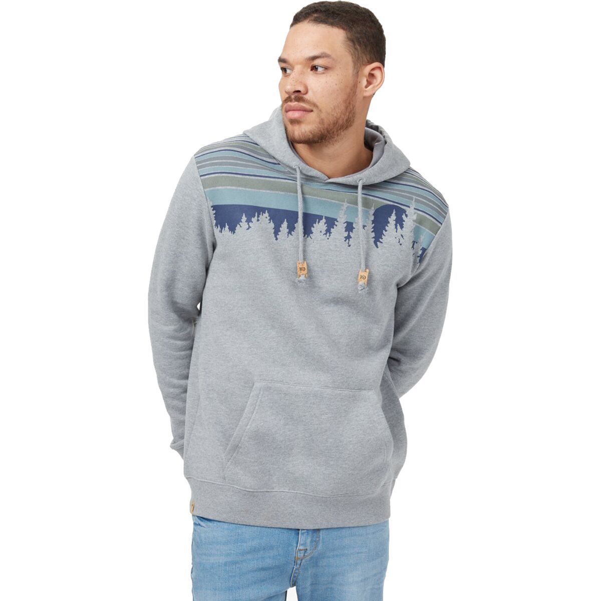 Tentree Retro Juniper Classic Hoodie - Men's Grey Heather, XXL