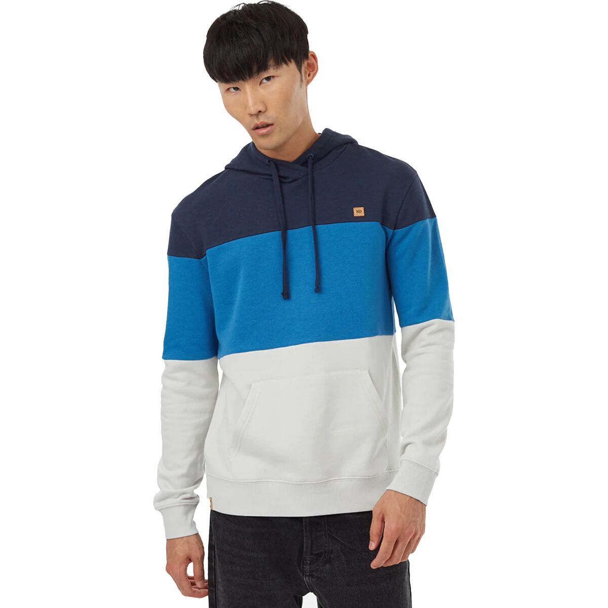 Tentree TreeFleece Blocked Reynard Hoodie - Men's Dress Blue/Atlantic Blue/Silver Grey, XXL
