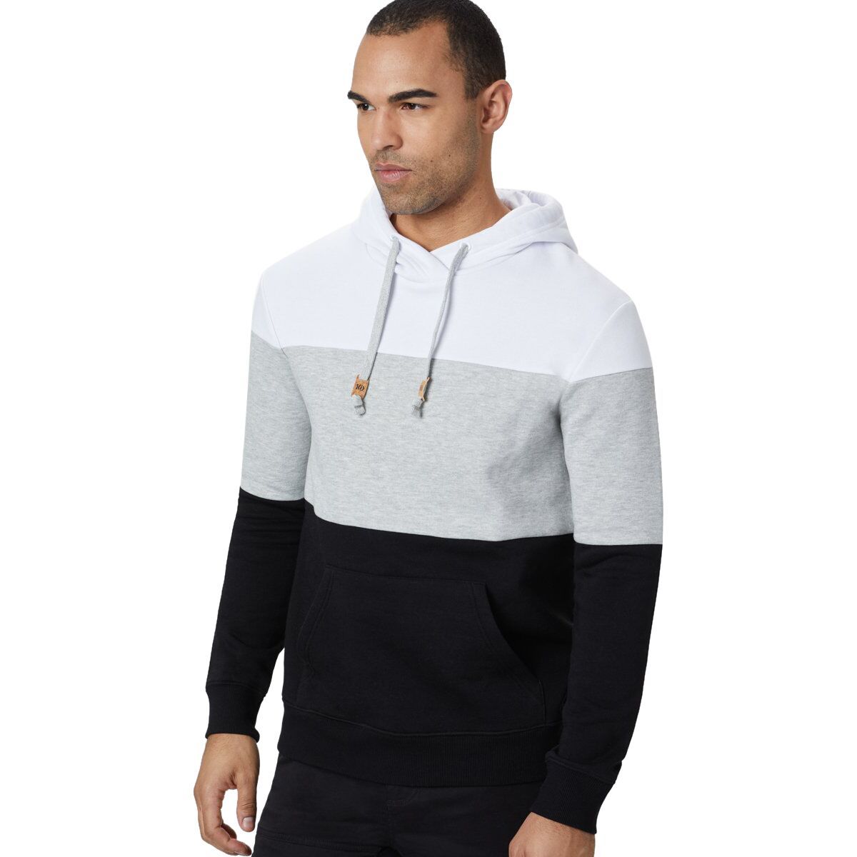Tentree TreeFleece Blocked Reynard Hoodie - Men's White/Hi Rise Grey/Meteorite Black, XL