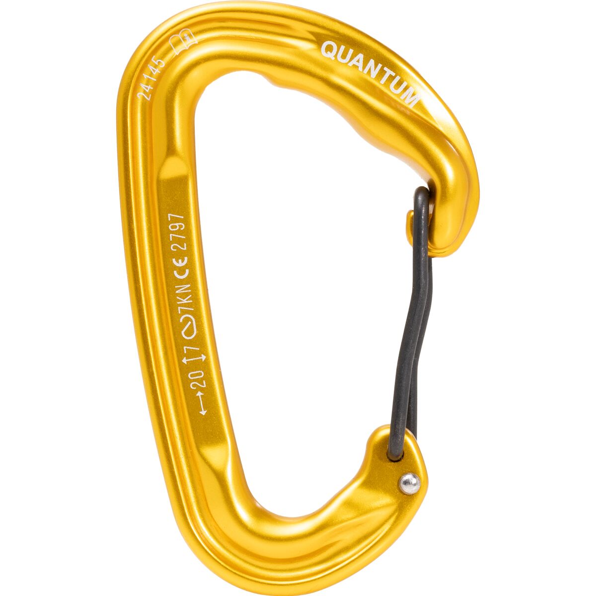 Salomon Quantum