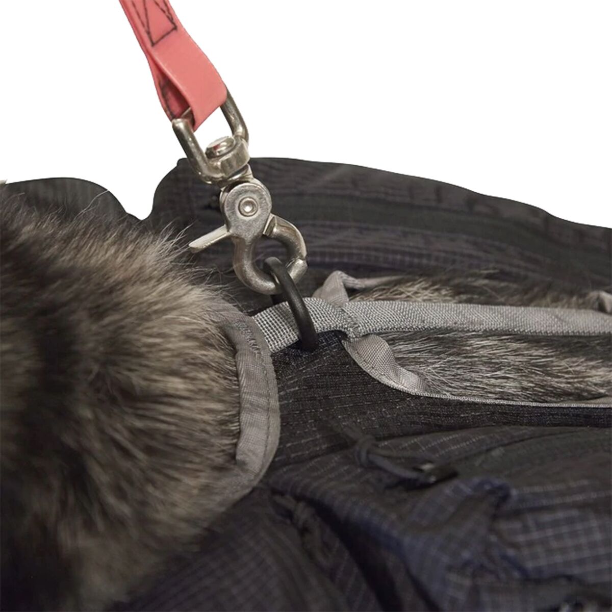 Ultimate Direction Dog Vest eBay