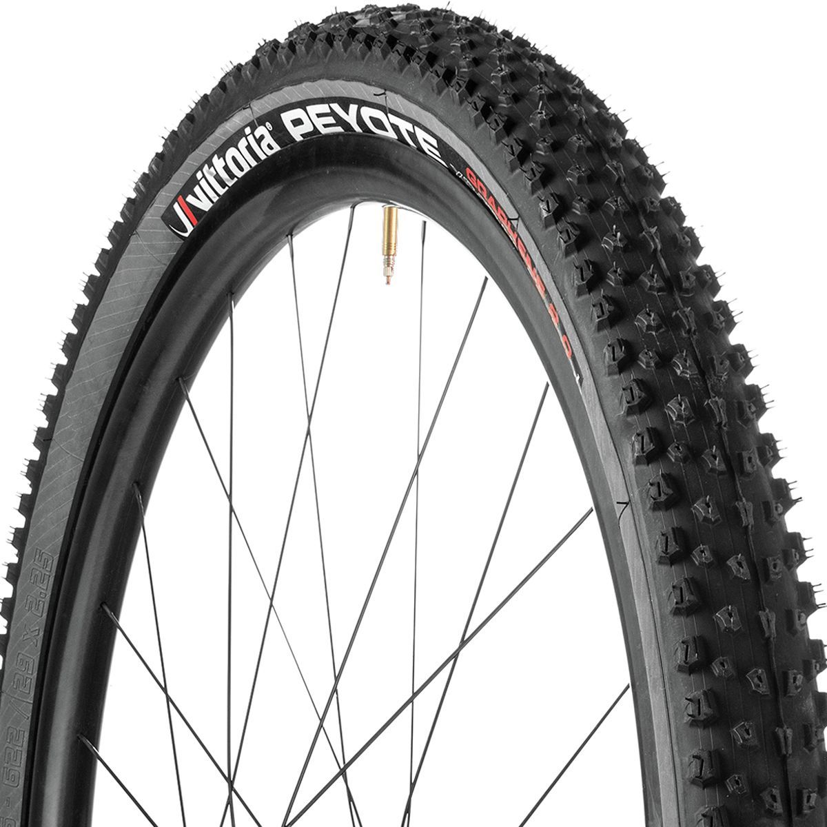 vittoria barzo 29x2 25 tnt