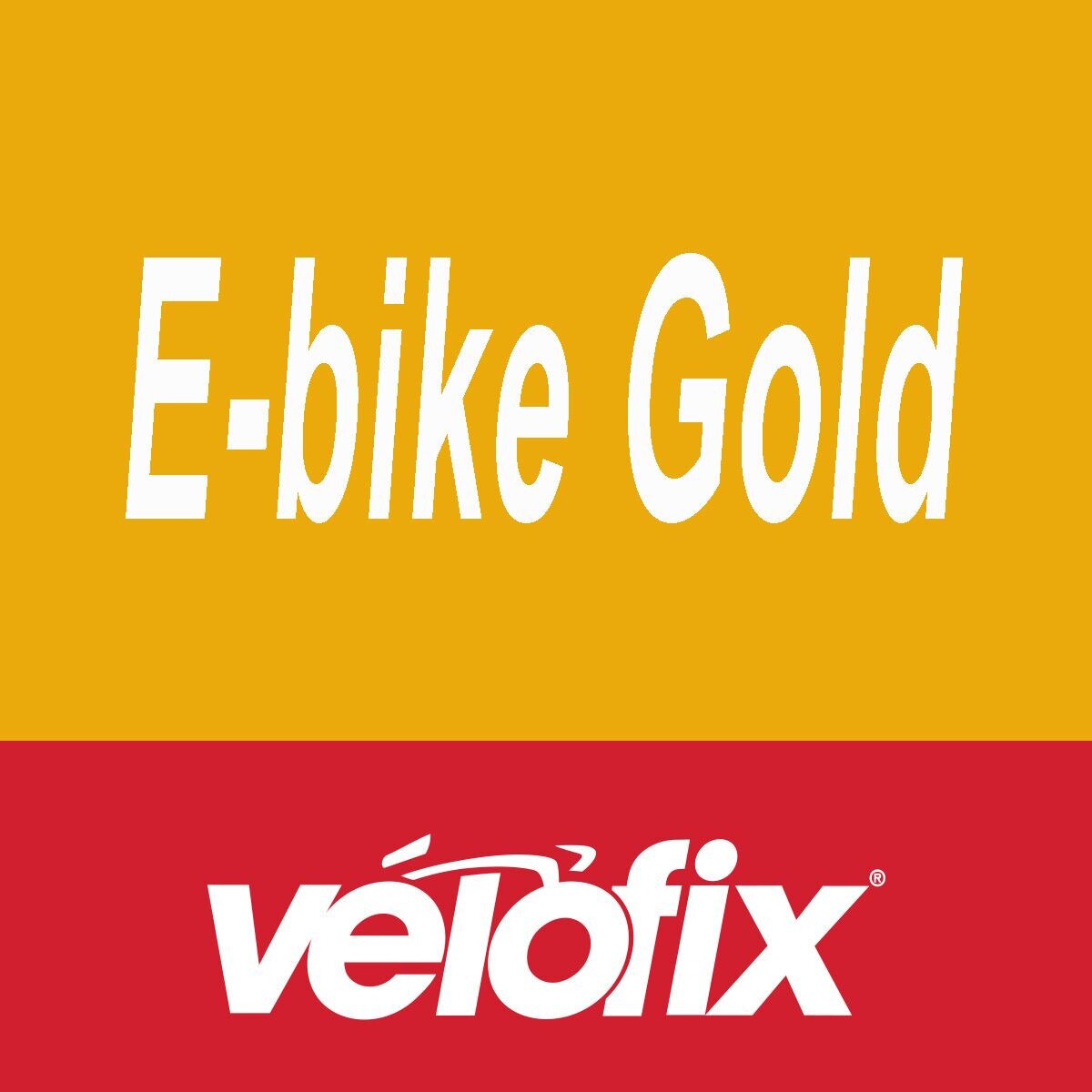 Image of velofix Gold Preventative Maintenance - eBike Gold, 2 Year-eBike