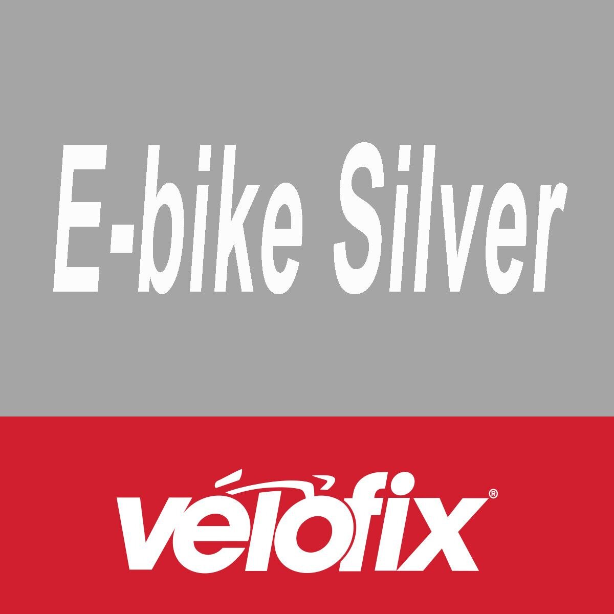 Image of velofix Silver Preventative Maintenance - eBike Silver, 3 Year-eBike