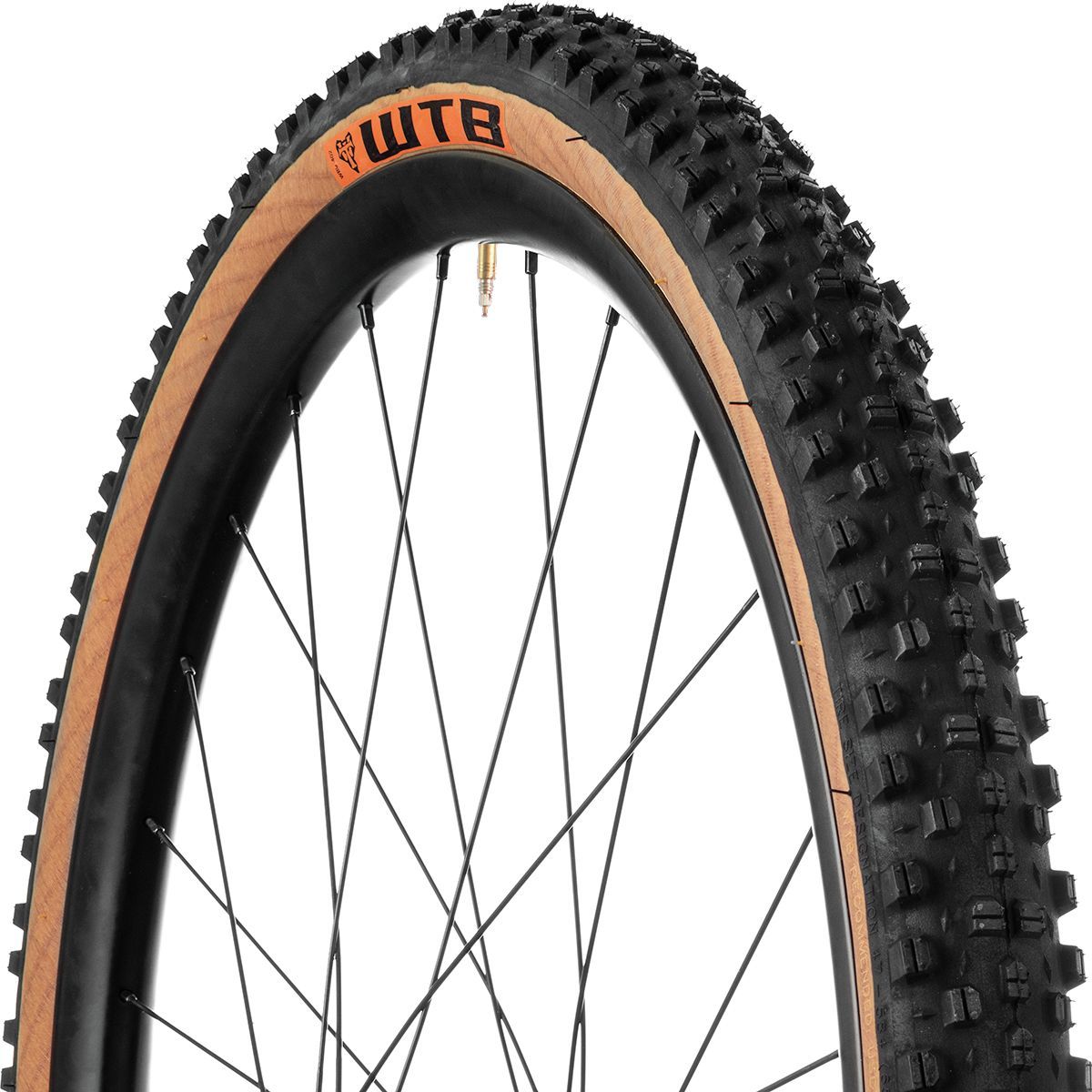 Image of WTB Sendero 47 650b TCS Tubeless Tire Tan/Black, 650b x 47mm