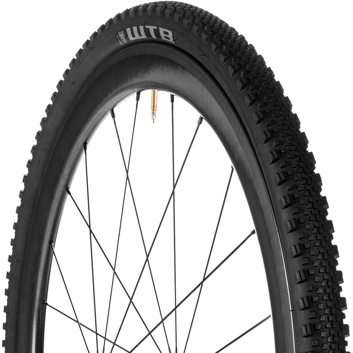 WTB WTB Raddler TCS Light Tubeless Tire
