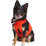 Backcountry x Petco The Dog Flotation Vest Spicy Orange, XL