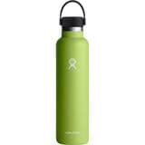 Hydro Flask 24oz Standard Mouth Water Bottle Seagrass, One Size